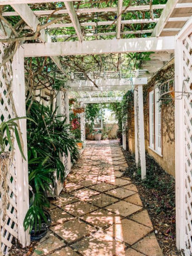 Path to The Ivy Cottage